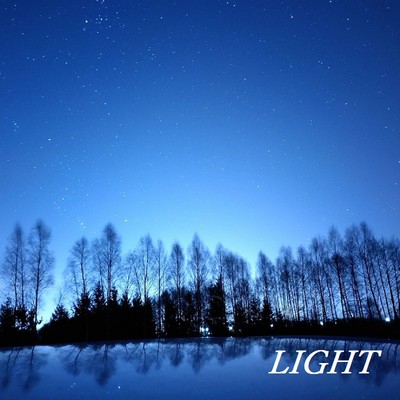 シングル/Light In The Forest/TandP