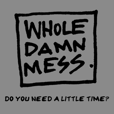 Do You Need A Little Time？/Whole Damn Mess