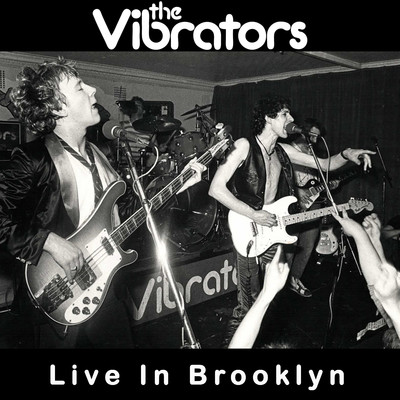 Disco In Mosco (Live, Brooklyn, 2 October 2010)/The Vibrators