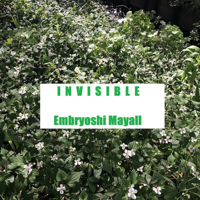 シングル/INVISIBLE/Embryoshi Mayall