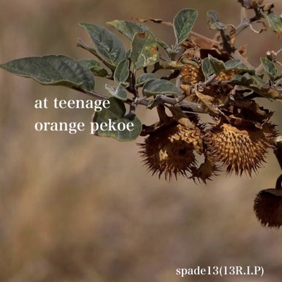 orange pekoe/spade13(13R.I.P)