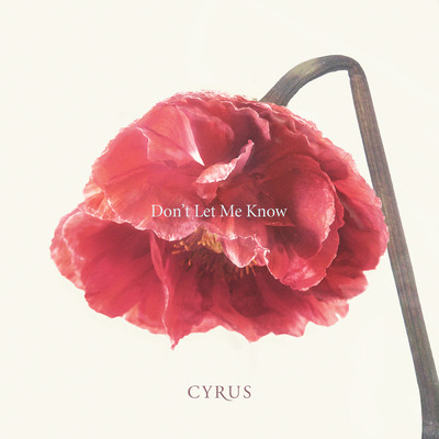 Don't Let Me Know/Cyrus Villanueva