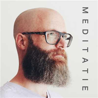 アルバム/Meditatie/David