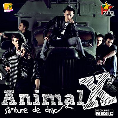 RAI/Animal X