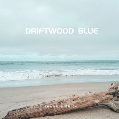 シングル/Rainforest Breeze/Shawn & Brick