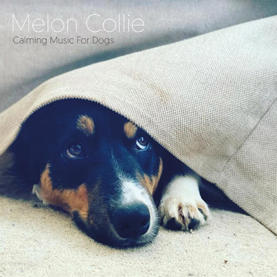 Calming Music For Dogs/Melon Collie