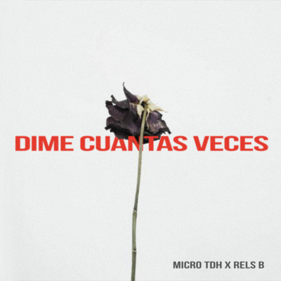 シングル/Dime Cuantas Veces/Micro Tdh, Rels B