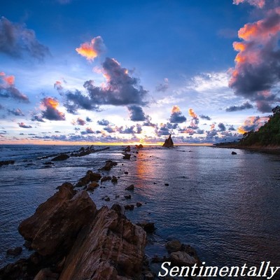 シングル/Sentimentally/TandS