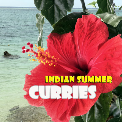 Indian Summer/Curries