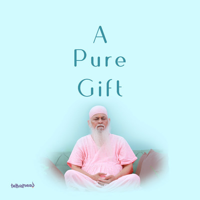 A Pure Gift/Martin Griffiths