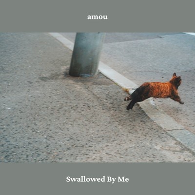 シングル/Swallowed By Me/amou