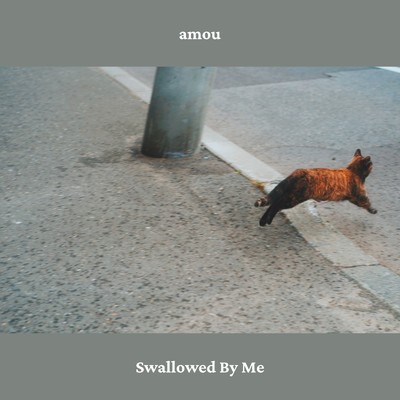 Swallowed By Me/amou