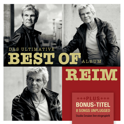 アルバム/Das ultimative Best Of Album/Matthias Reim