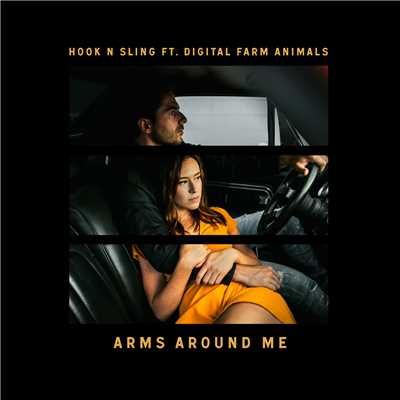 シングル/Arms Around Me (featuring Digital Farm Animals)/フックンスリング
