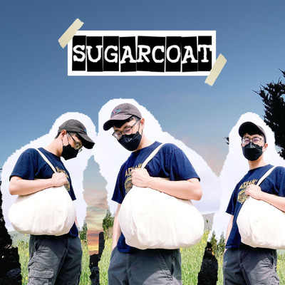 Sugarcoat (Can We Talk)/birdtunes