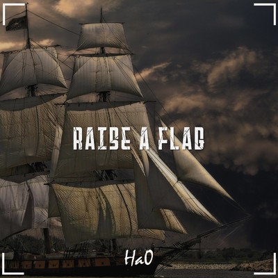 アルバム/Raise a flag/Ha0