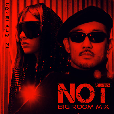 シングル/NOT (Big Room Mix)/Crystal Mint