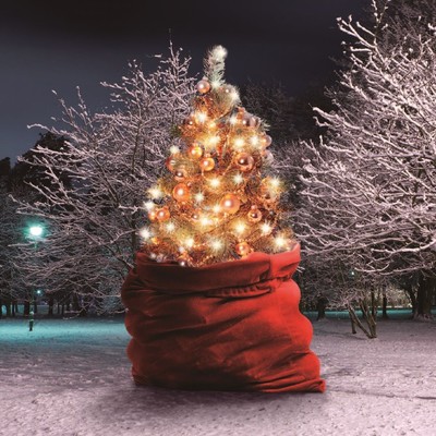 The Best Nightmare For Xmas/WHITE ASH