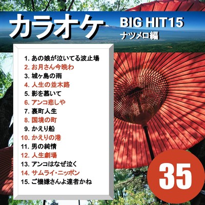 カラオケ BIG HIT 15 ナツメロ編 35/CTA カラオケ