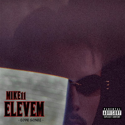 ELEVEM (Explicit)/Mike11
