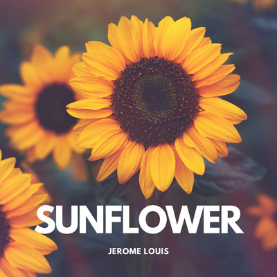 シングル/Sunflower/Jerome Louis