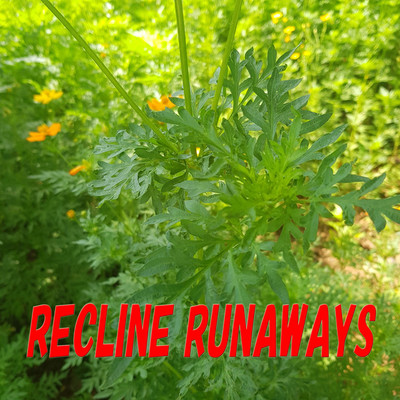 Recline Runaways/Akemi Koizumi