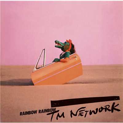RAINBOW RAINBOW(陽気なアインシュタインと80年代モナリザの一夜)/TM NETWORK