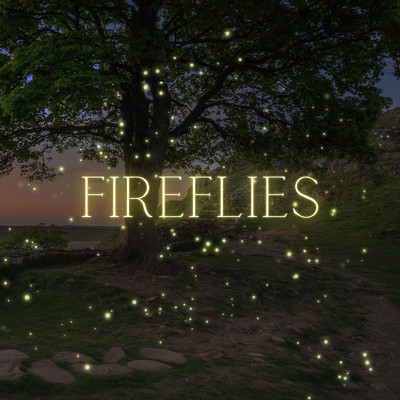 Fireflies/Ambient Study Theory