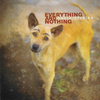 Everything & Nothing/デヴィッド・シルヴィアン