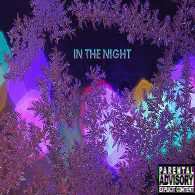 シングル/In the Night/Slim Tidal