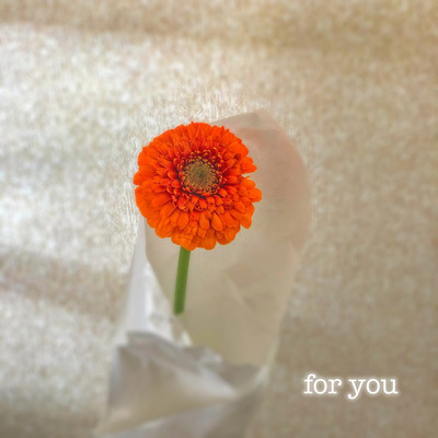 シングル/for you/浩子クレメニア