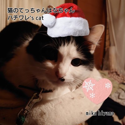 猫のてっちゃんはなちゃんハチワレ's cat/mika hiyama