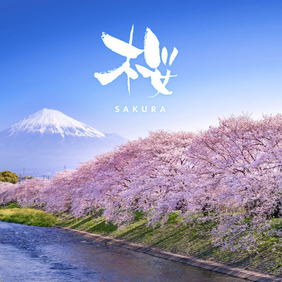 SAKURA Healing -Cherry Blossom in Japan-/Various Artists