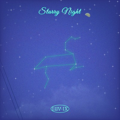 シングル/Starry Night/LUV-IX