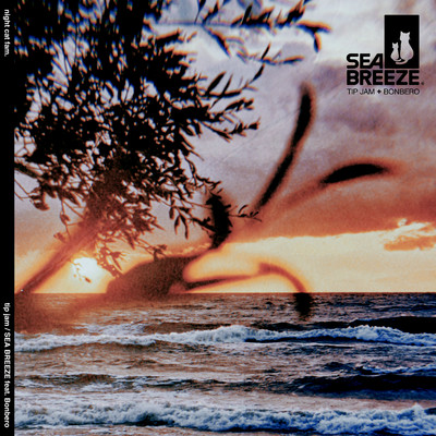 シングル/SEA BREEZE (feat. Bonbero)/tip jam