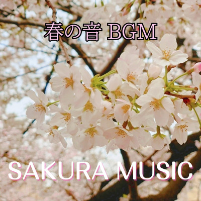 桜舞う空と美しいピアノの音/DJ Meditation Lab. 禅
