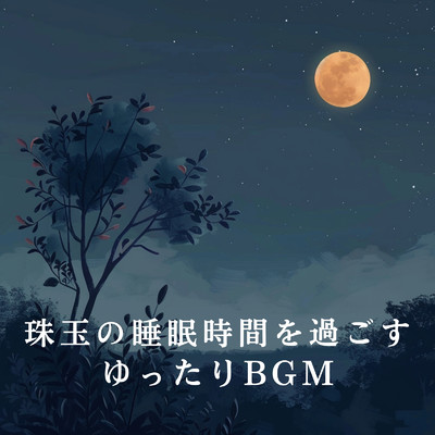 アルバム/珠玉の睡眠時間を過ごすゆったりBGM/Relaxing BGM Project