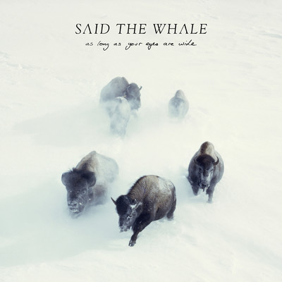 I WIll Follow You (Explicit)/Said The Whale