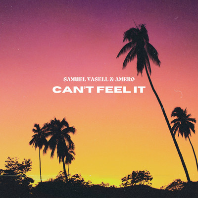 Can't Feel It/Samuel Vasell & Amero
