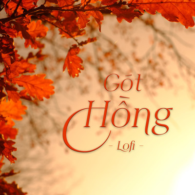シングル/Got Hong (lofi)/Hoang Mai
