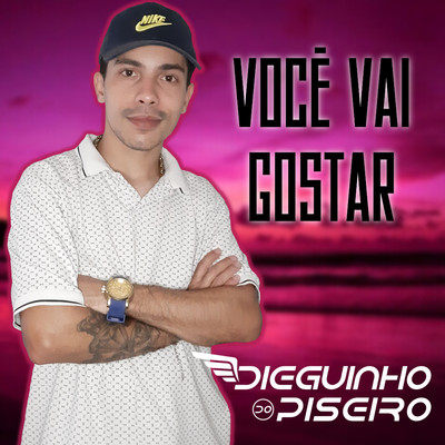 シングル/Voce Vai Gostar/Dieguinho do Piseiro