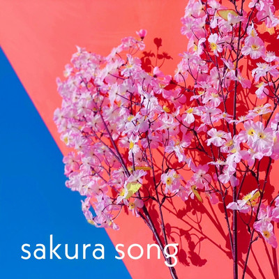 sakura song/supabo.