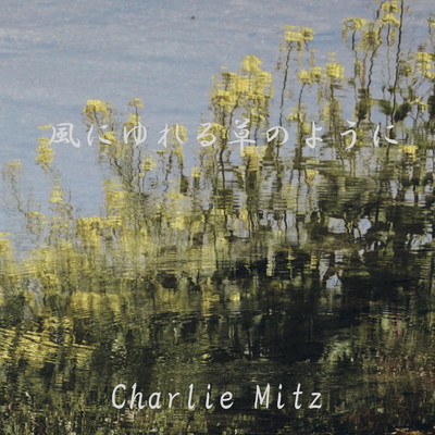 シングル/風にゆれる草のように/Charlie Mitz