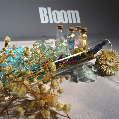 Bloom/Adler