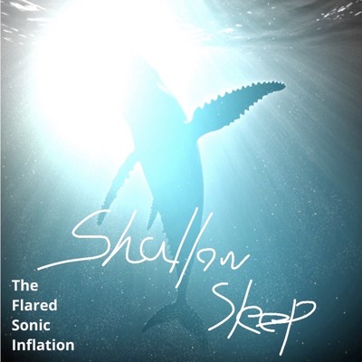 シングル/Shallow Sleep/The Flared Sonic Inflation