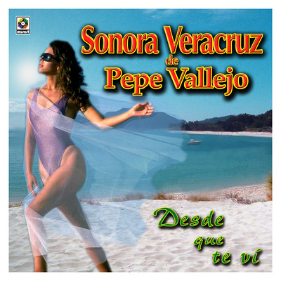 アルバム/Desde Que Te Vi/Sonora Veracruz de Pepe Vallejo