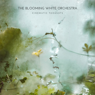 シングル/Romance/The Blooming White Orchestra & Wilson Trouve