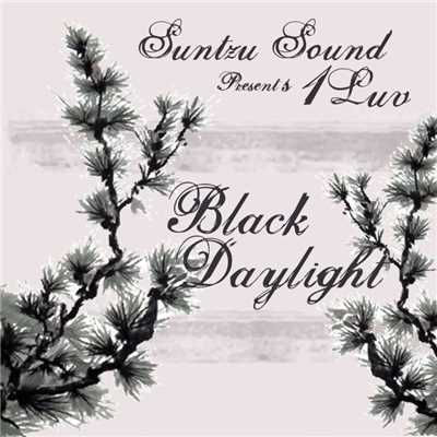 シングル/Black Daylight (Slope Remix)/Suntzu Sound presents 1Luv