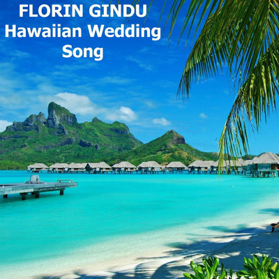 シングル/Hawaiian Wedding Song/Florin Gindu