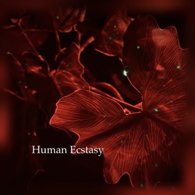 Human Ecstasy/Antonio Noah